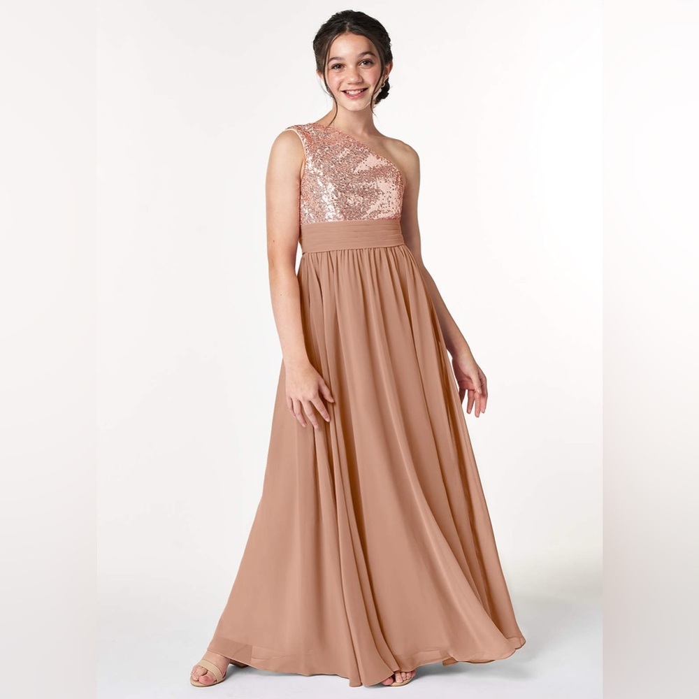Azazie Sidney
A-Line Chiffon Floor-Length Dress size J10